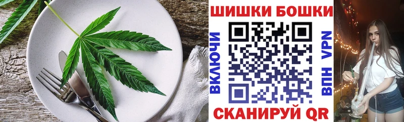 OMG зеркало  купить   Шахты  Canna-Cookies конопля 