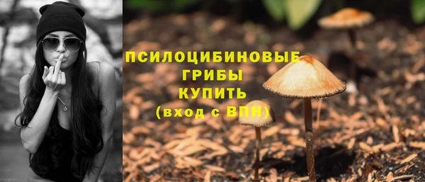 ПСИЛОЦИБИНОВЫЕ ГРИБЫ Навашино