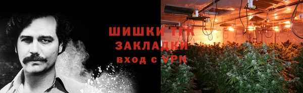 ПСИЛОЦИБИНОВЫЕ ГРИБЫ Навашино