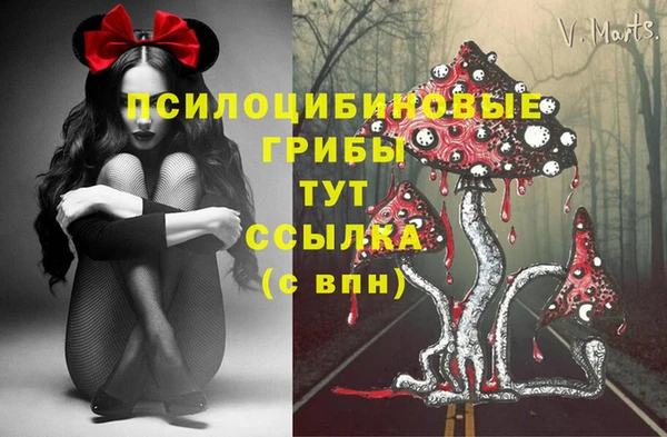 ПСИЛОЦИБИНОВЫЕ ГРИБЫ Навашино