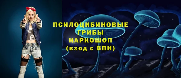 ПСИЛОЦИБИНОВЫЕ ГРИБЫ Навашино