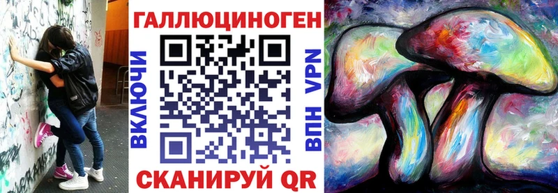 купить наркоту  Шахты  Галлюциногенные грибы Cubensis 
