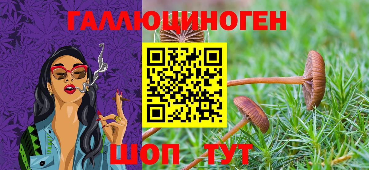 Псилоцибиновые грибы GOLDEN TEACHER Шахты