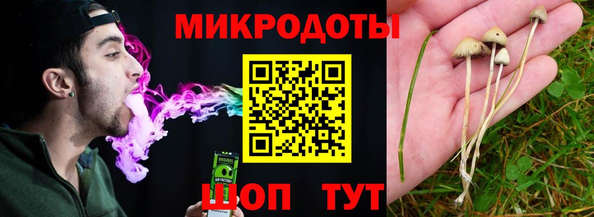Шахты  Галлюциногенные грибы прущие грибы  Вход с VPN 