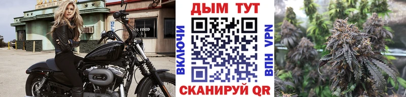 где купить наркоту  Шахты  Каннабис Amnesia 